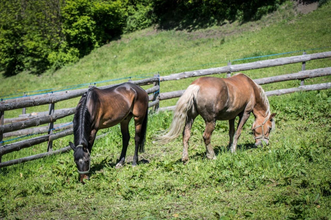 Zingerlehof Trens Villa Campo di Trens Bagian luar foto