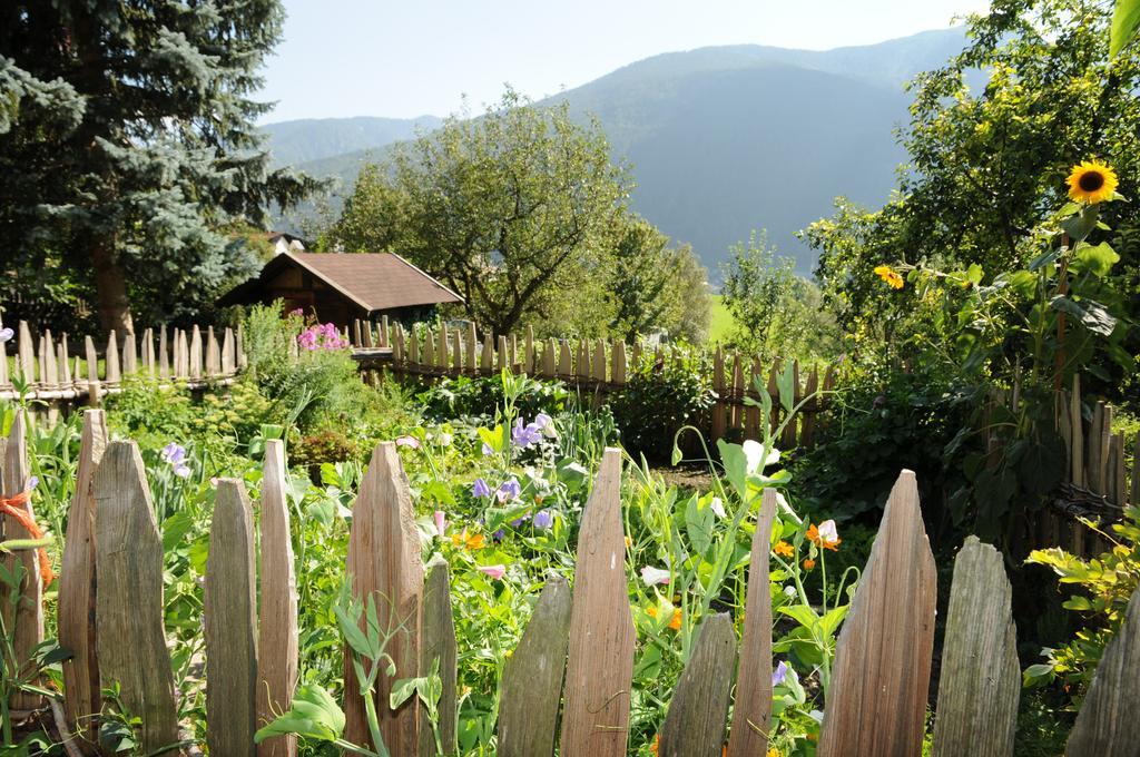 Zingerlehof Trens Villa Campo di Trens Bagian luar foto
