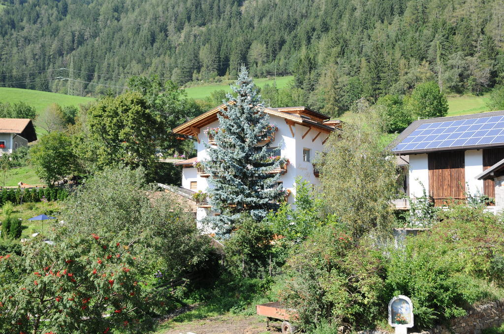 Zingerlehof Trens Villa Campo di Trens Bagian luar foto